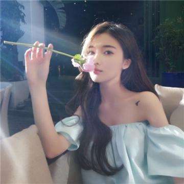 幻灵圣域破解版下载